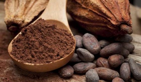 jain-douarnenez-kouign-amann-gateau-breton-chocolats-couleur-cacao-treboul-vente-en-ligne-flimou-roche-blanche-grignotine