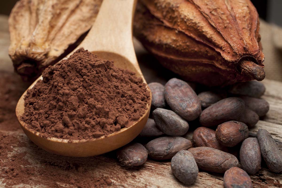 jain-douarnenez-kouign-amann-gateau-breton-chocolats-couleur-cacao-treboul-vente-en-ligne-flimou-roche-blanche-grignotine